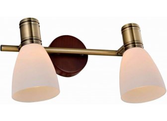 Спот Sharyl TL3720Y-02BB