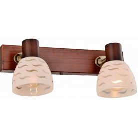Спот Shayla TL3730Y-02BB