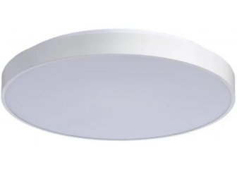 Потолочный светильник Ривз 674013101