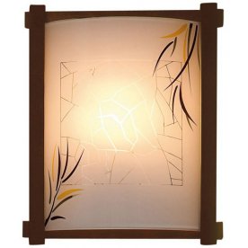 Настенный светильник CL921009R