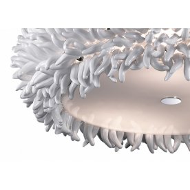 Накладной светильник Esma 2755/6C