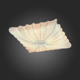 Накладной светильник Tela SL356.552.08