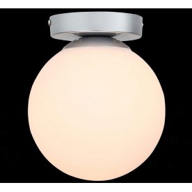 Настенно-потолочный светильник Acini SL717.501.01