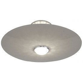 Настенно-потолочный светильник Alcosa SL931.502.01