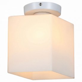 Настенно-потолочный светильник Aspetto SL548.501.01