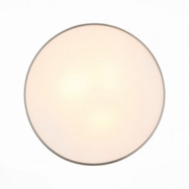 Настенно-потолочный светильник Bagno SL468.502.03
