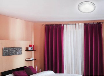 Настенно-потолочный светильник Brisa 2036/DL