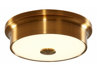 Настенно-потолочный светильник Фостер-2 CL706212