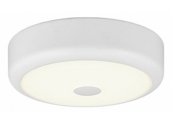 Настенно-потолочный светильник Фостер CL706110