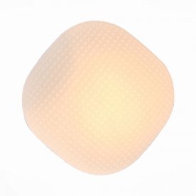 Настенно-потолочный светильник Pone SL504.552.01