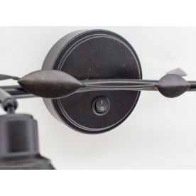 Настенно-потолочный светильник Робуста CL509522