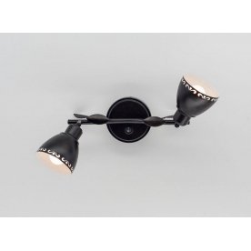 Настенно-потолочный светильник Робуста CL509522