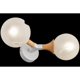 Настенный светильник Amy FR5105WL-02W