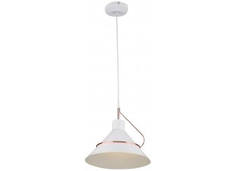 Подвесной светильник Amis FR5025PL-01W