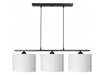 Подвесной светильник TL1610H-03WH