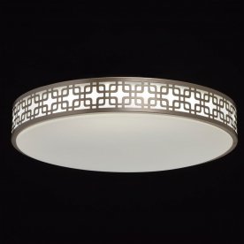 Потолочный светильник Ривз 674015501