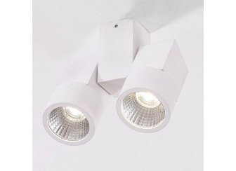 Потолочный светильник Дубль CL556100