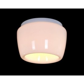 Потолочный светильник ST Luce SL876.502.01