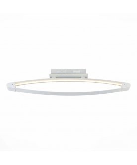 Потолочный светильник SL920.102.01