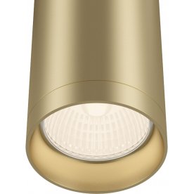 Потолочный светильник C010CL-01MG