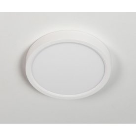 Потолочный светильник Бейсик CL738120N