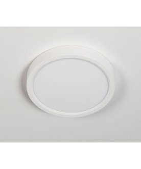 Потолочный светильник Бейсик CL738120N