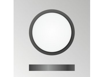 Диодный потолочный светильник Бейсик CL738121N