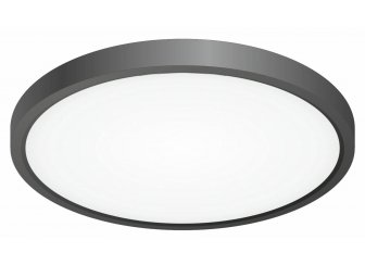 Потолочный светильник Бейсик CL738241V