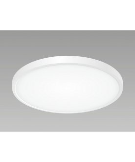 Потолочный светильник Бейсик CL738320V