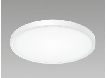 Потолочный светильник Бейсик CL738320V