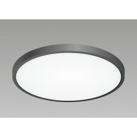 Потолочный светильник Бейсик CL738321V