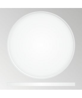 Потолочный светильник Бейсик CL738400V