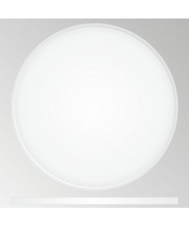 Потолочный светильник Бейсик CL738500V