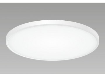 Потолочный светильник Бейсик CL738500V