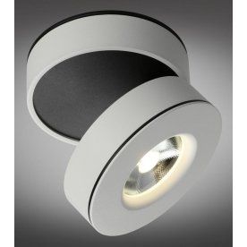 Потолочный светильник OML-101909-12