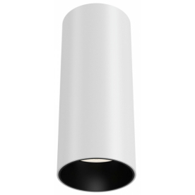 Потолочный светильник Ceiling & Wall C056CL-L12W3K-W-W