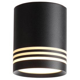 Потолочный светильник Cerione