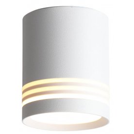 Потолочный светильник Cerione