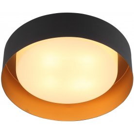 Потолочный светильник Chio SL392.422.04