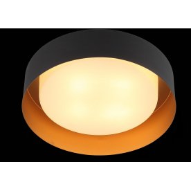 Потолочный светильник Chio SL392.422.04