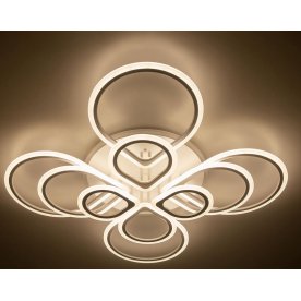 Потолочный светильник CL235A200E