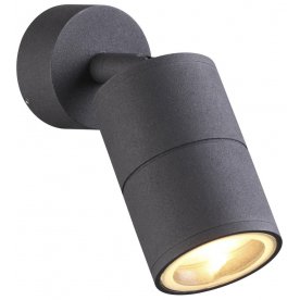 Потолочный светильник Corsus 4207/1C