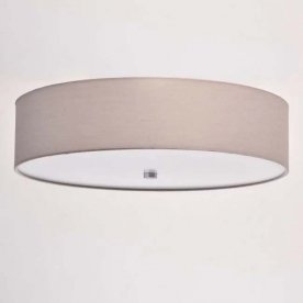 Потолочный светильник Дафна 453011501