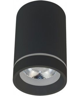 Потолочный светильник APL.0053.19.10