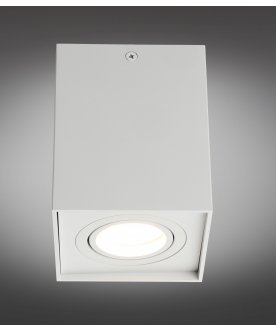 Светильник Feletto OML-101109-01