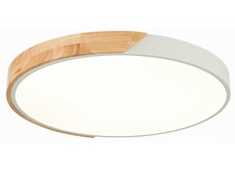 Потолочный светильник SLE200952-01