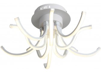 Потолочный светильник Finde SL826.502.10