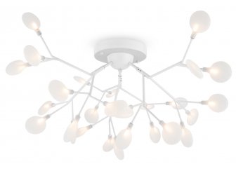 Потолочный светильник Florencia FR5049CL-27W2