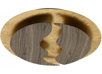 Потолочный светильник Иланг 712011701