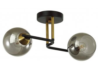 Потолочный светильник 5217/2C